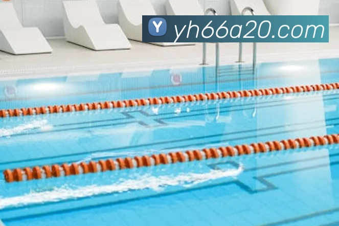体育数据展示